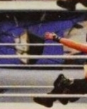 wwe2k14guide14.jpg