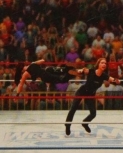 wwe2k14guide7.jpg