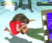 wrestlemania19guide18.jpg