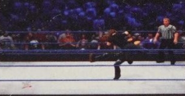 wwe13guide12.jpg