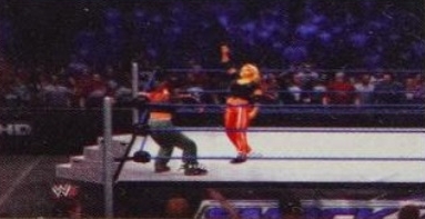 wwe13guide8.jpg