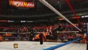 wwe2k14guide10.jpg