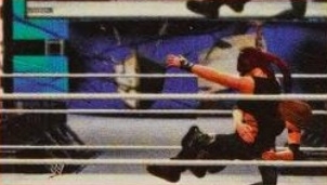 wwe2k14guide14.jpg