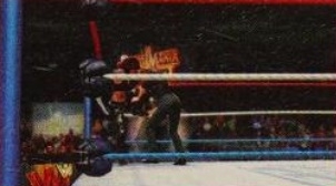wwe2k14guide8.jpg