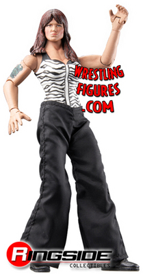 ringsidecollectiblesruthlessaggression1.jpg