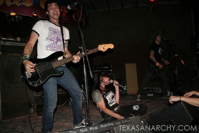 texasanarchyredeyedfly105.jpg