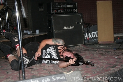 texasanarchyredeyedfly125.jpg