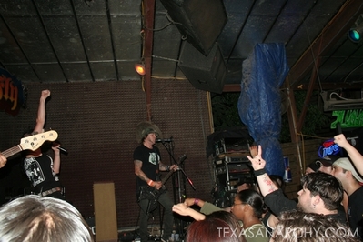 texasanarchyredeyedfly154.jpg