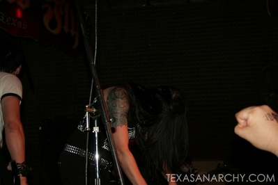texasanarchyredeyedfly194.jpg