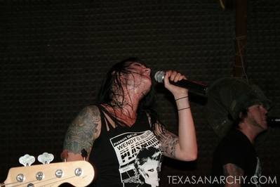 texasanarchyredeyedfly197.jpg