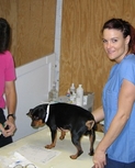 adoreyourpets2.jpg