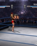 ignwrestlemania2113.jpg