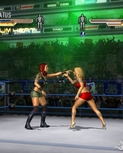 ignwrestlemania2114.jpg