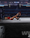 ignwrestlemania214.jpg