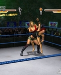 ignwrestlemania218.jpg