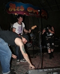 texasanarchyredeyedfly151.jpg
