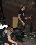 texasanarchyredeyedfly152.jpg