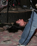 texasanarchyredeyedfly180.jpg