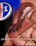 wwfmirrorimages5.jpg