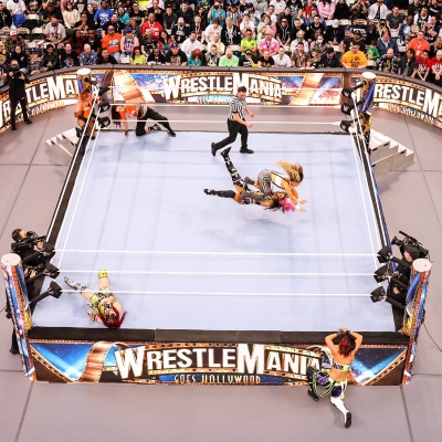 wrestlemania294_1_2315.jpg