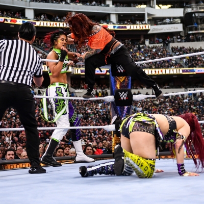 wrestlemania294_1_239.jpg