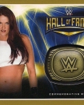 toppsroadwrestlemania161.jpg