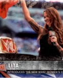 toppsroadwrestlemania171.jpg
